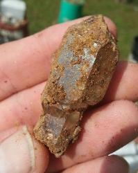dirty quartz crystal scepter found at the fat jack mine by Rodney Moore